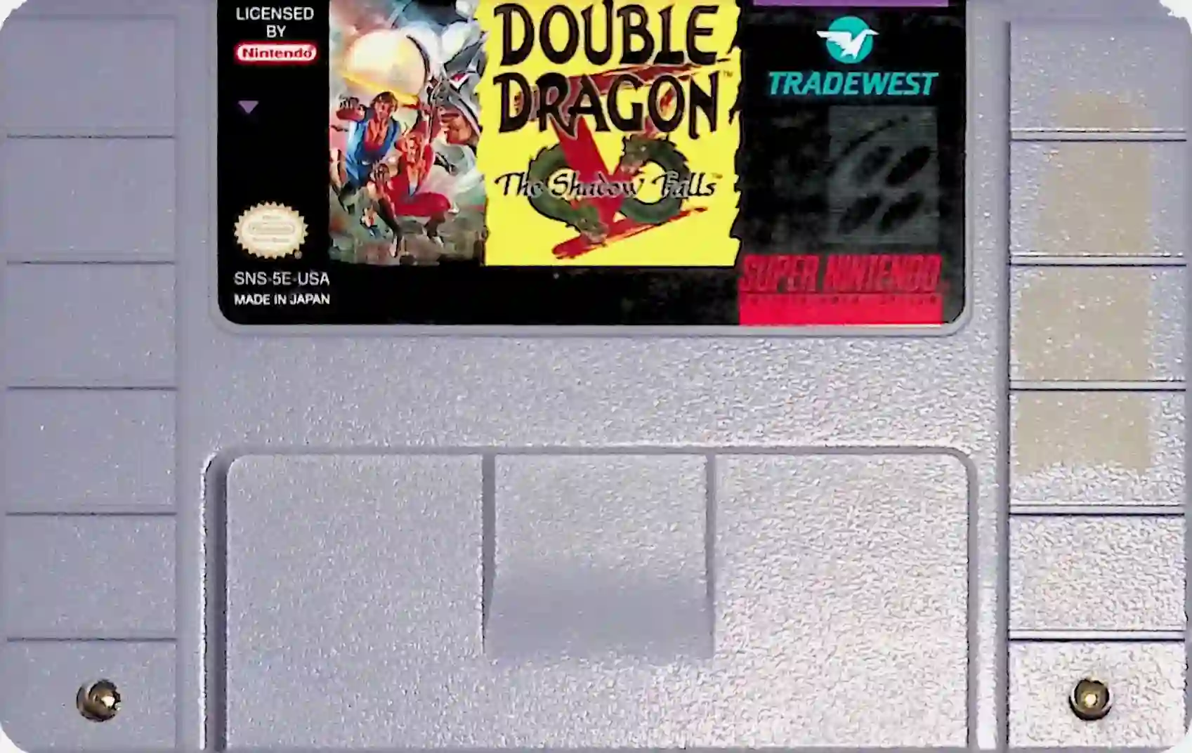 Double Dragon V: The Shadow Falls