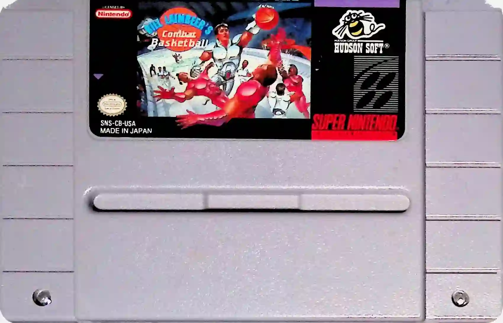 Bill Laimbeer's Combat Basketball