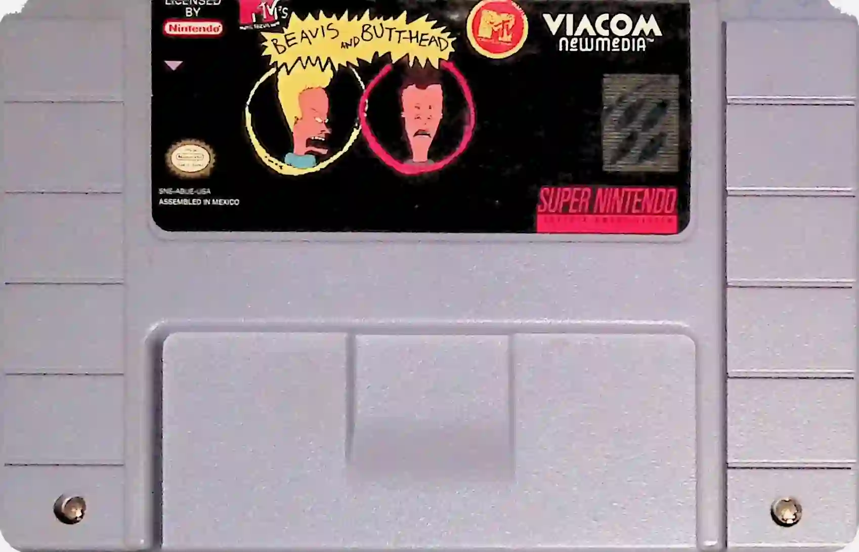 Beavis And Butt-Head, MTV's