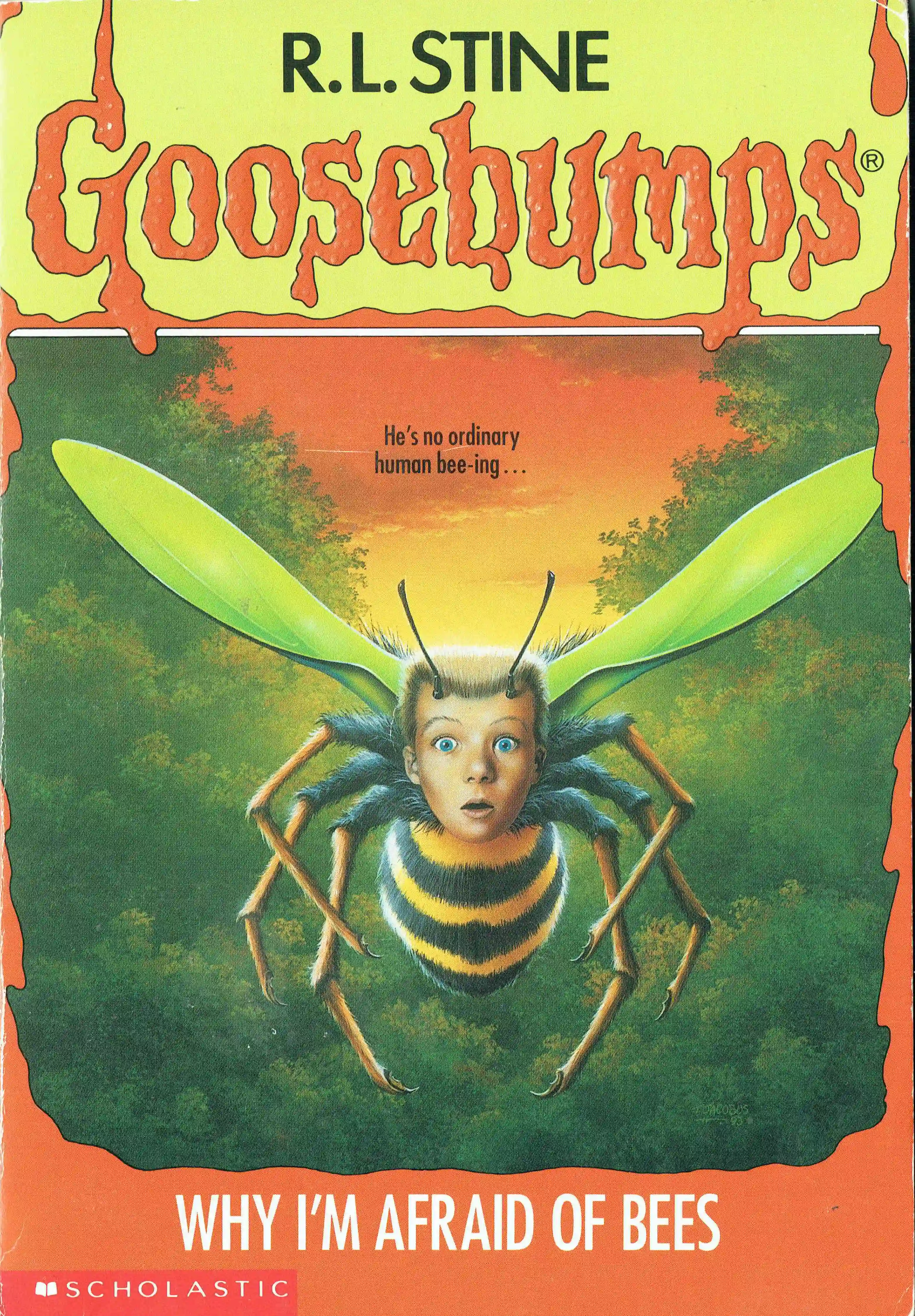 #17 - Why I'm Afraid of Bees