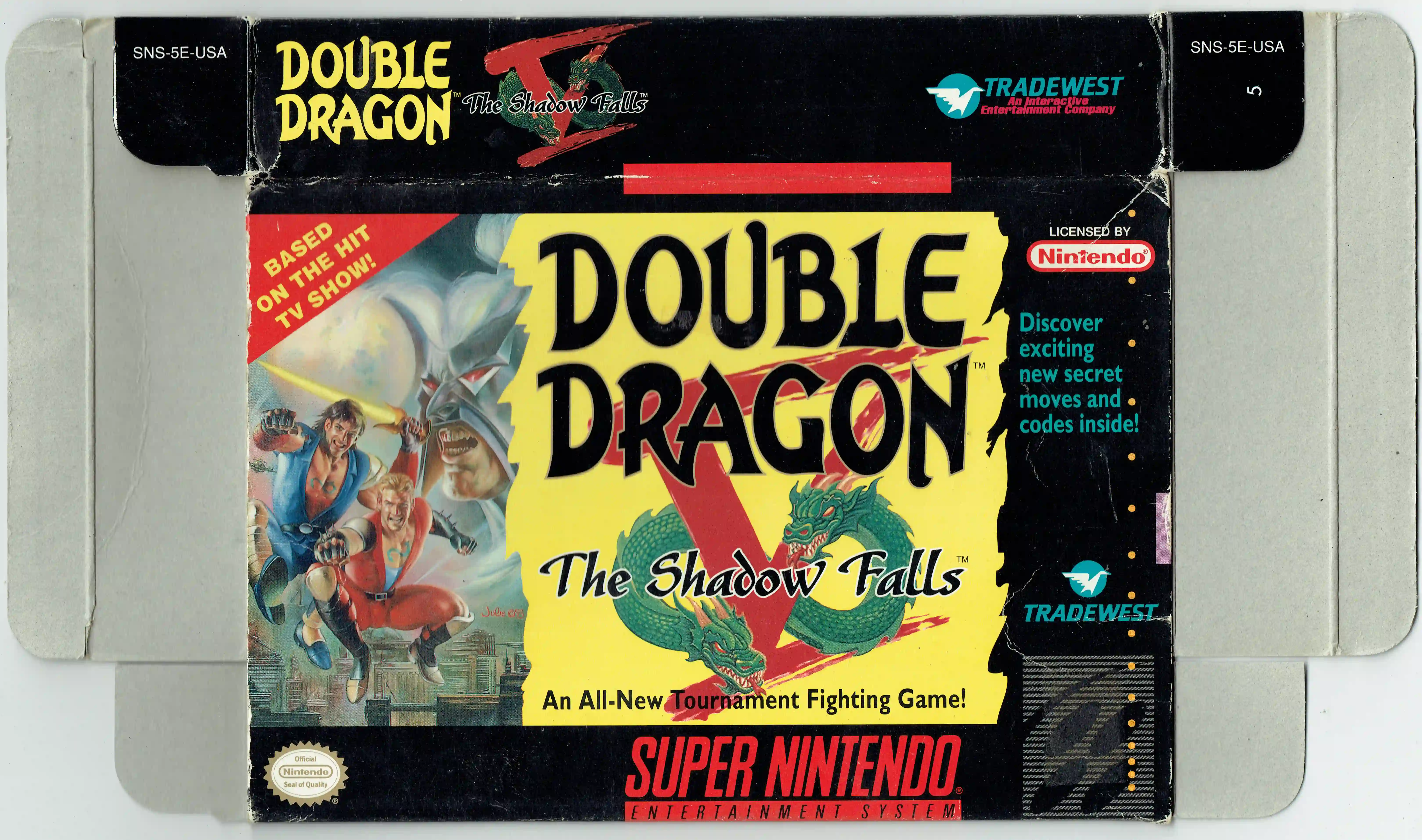 Double Dragon V: The Shadow Falls
