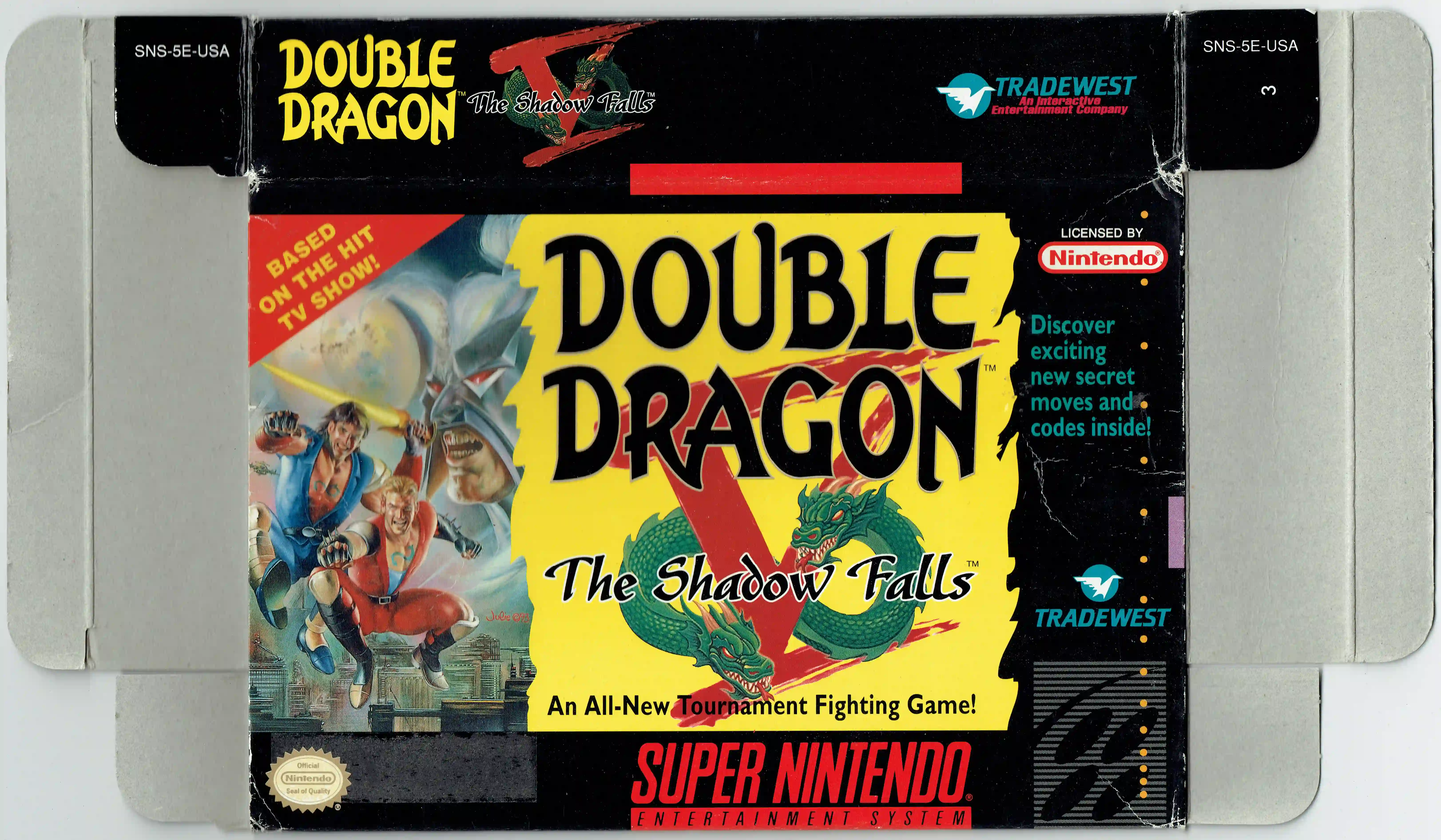 Double Dragon V: The Shadow Falls