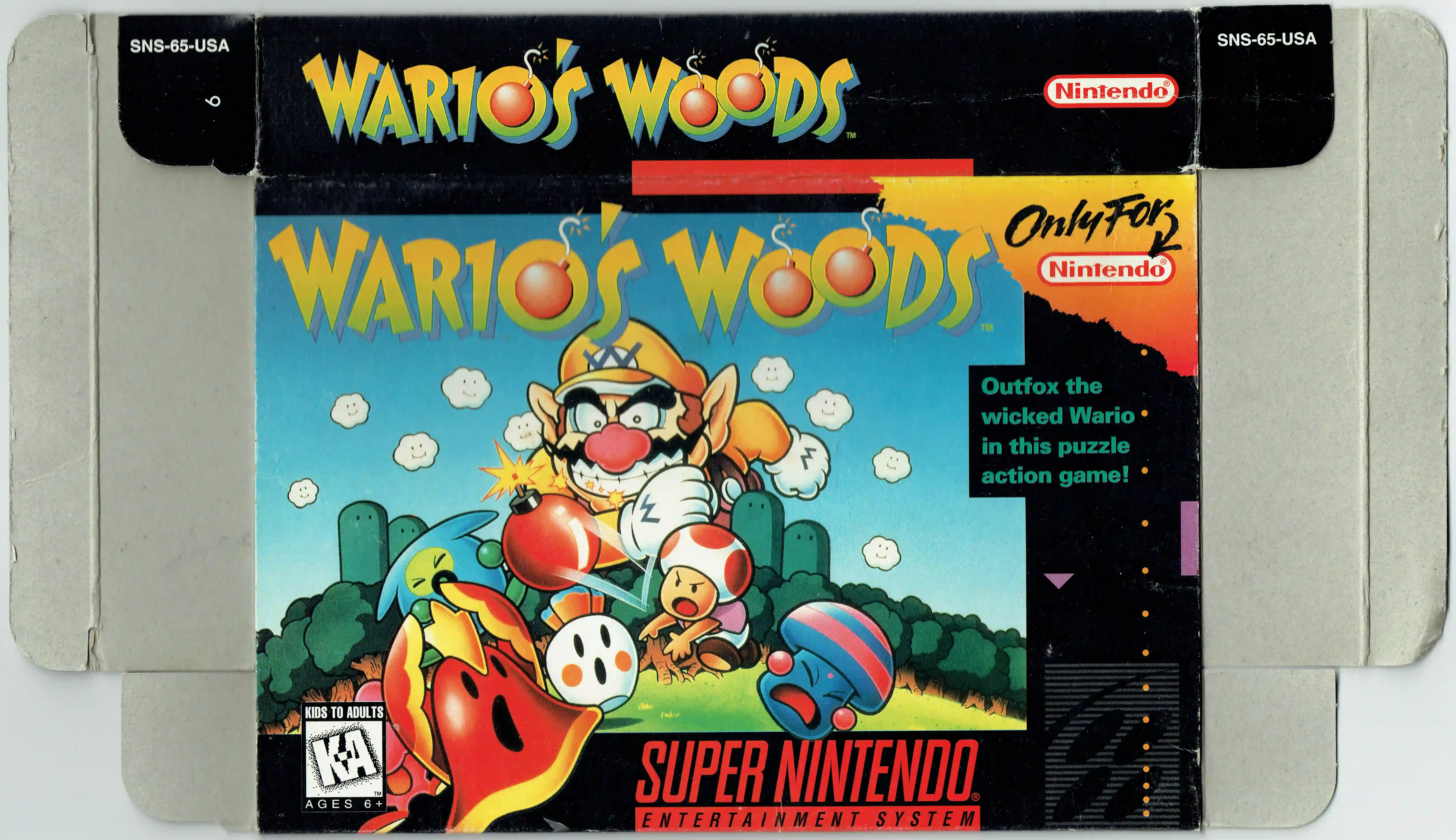 Wario's Woods