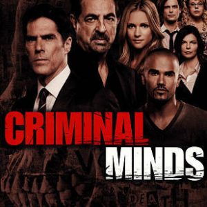 Criminal Minds: The Eighth Season