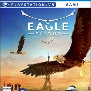 Eagle Flight